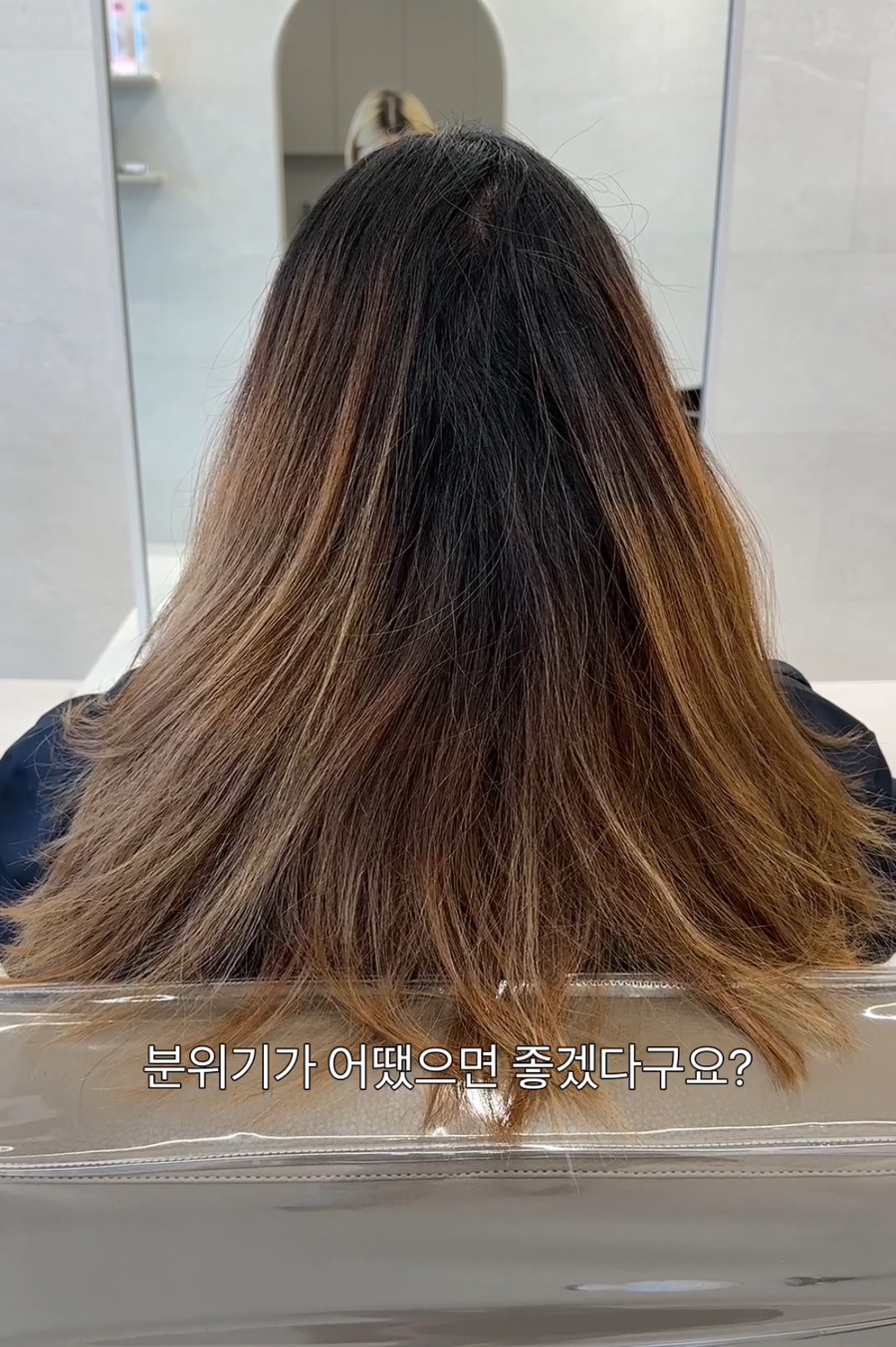 테오르헤어 이미지