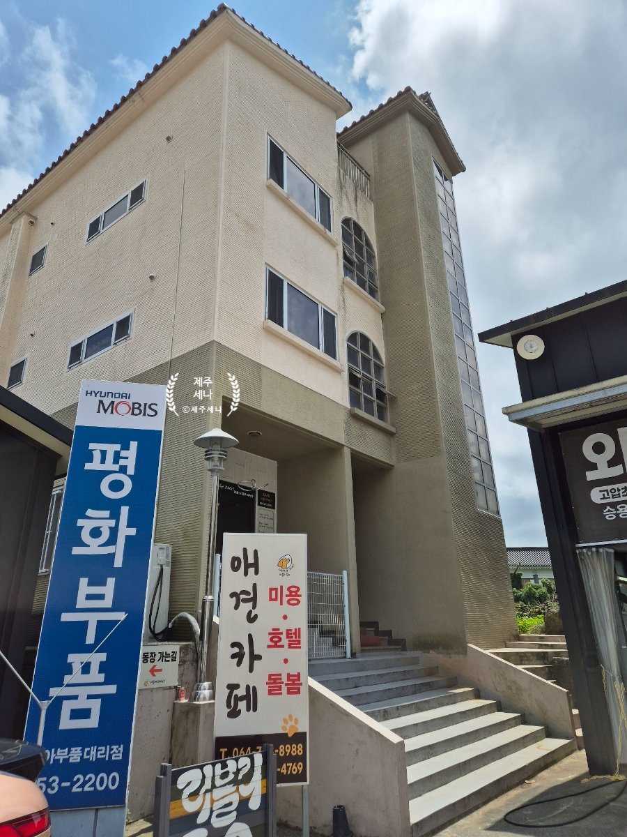 러블리독스 이미지