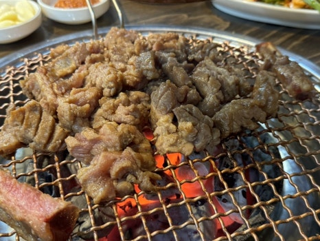 야초원 이미지