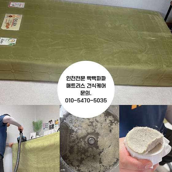 파파홈케어 이미지