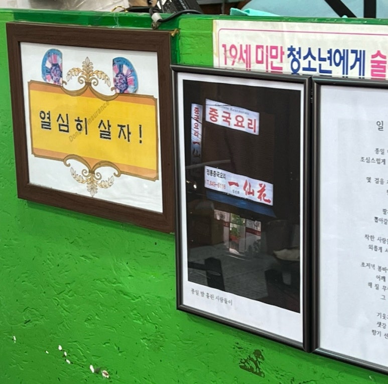 일선화 이미지
