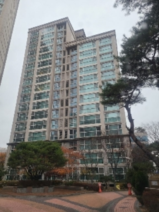 올핀스 이미지
