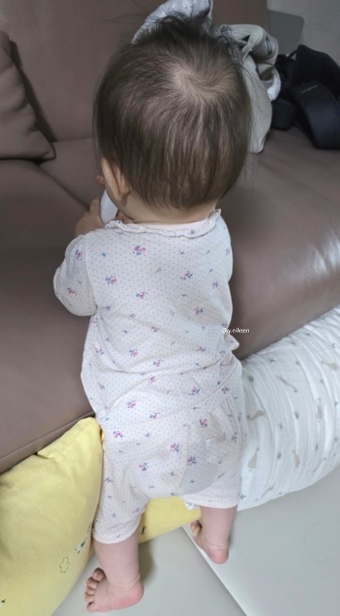 디오티앤 이미지