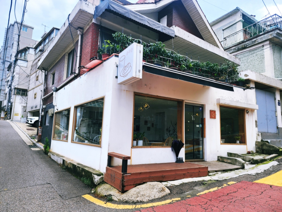 올라솔 이미지