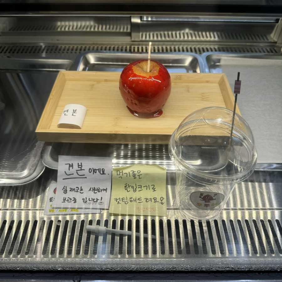 후루야 사진 5