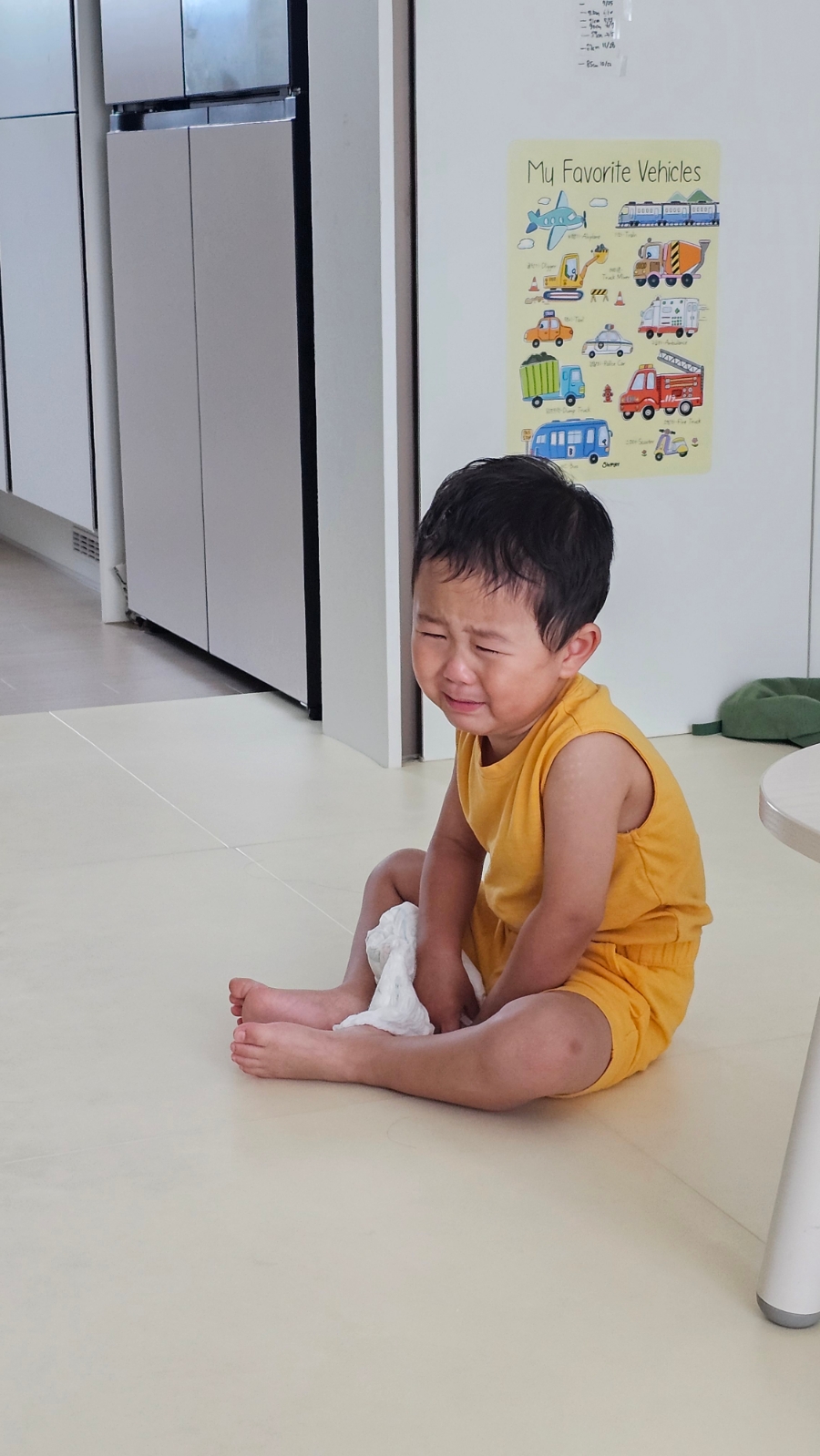 회포장 선율 이미지
