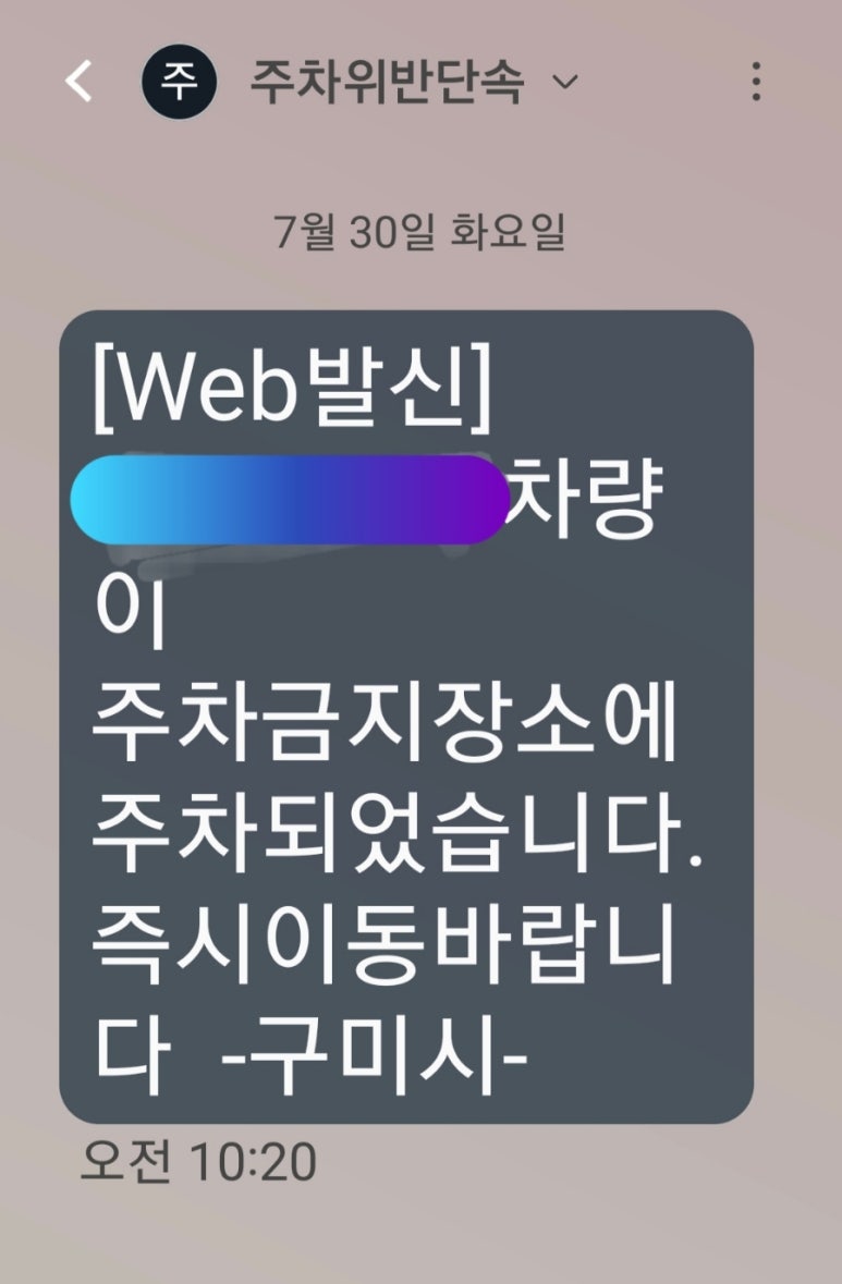 화이트리에 이미지