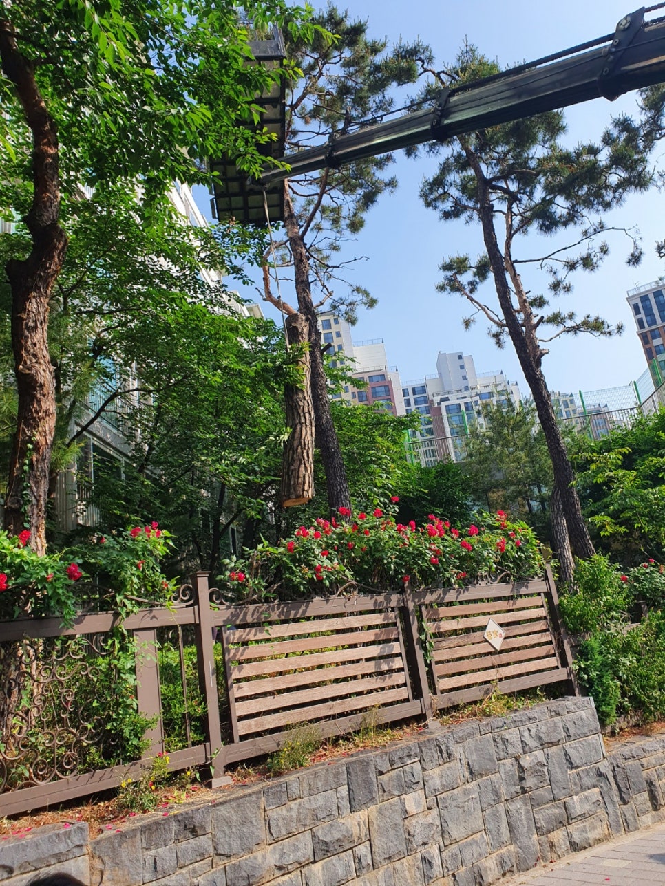세진종합관리 이미지