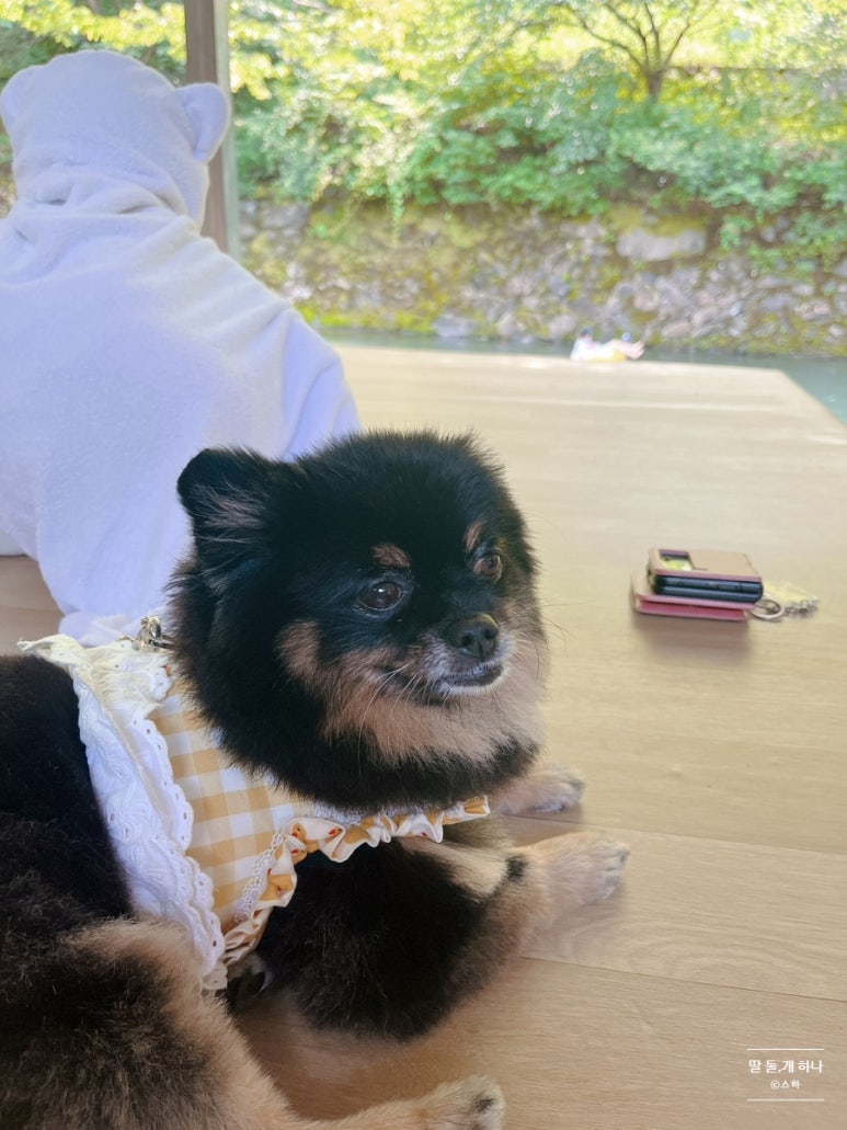 보령상회 이미지