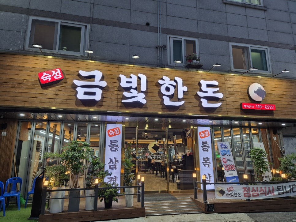 금빛한돈 이미지