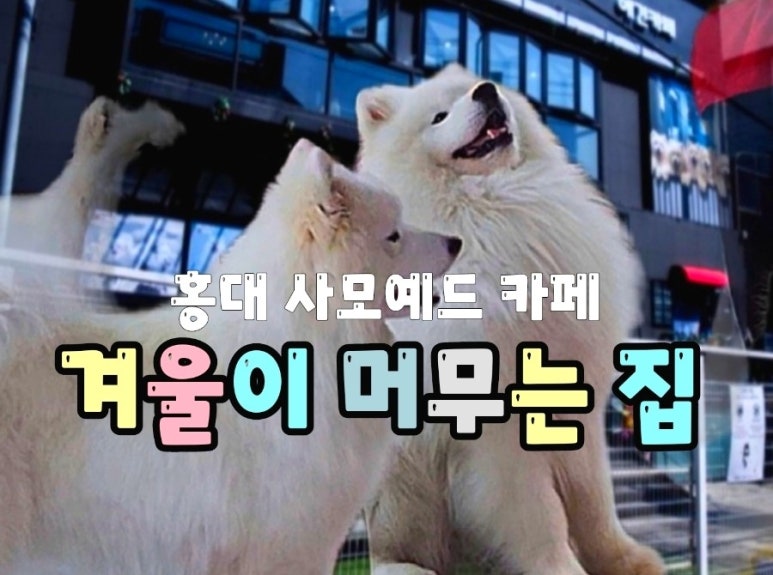 겨울이머무는집 이미지
