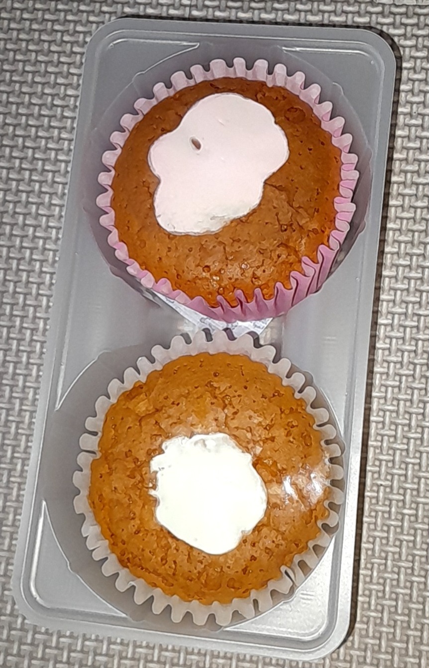 바닐라픽셀 이미지