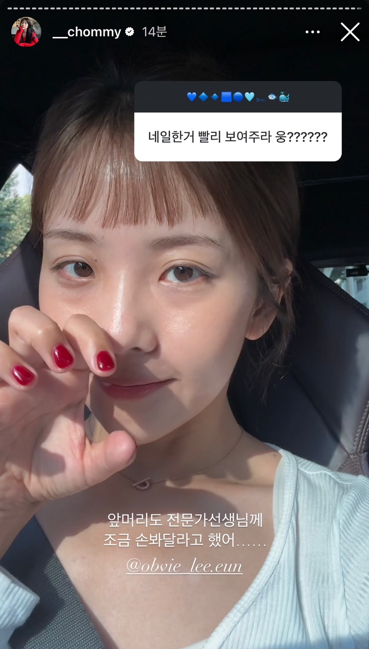 네일도츄 이미지