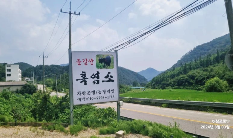 운길산흑염소 이미지
