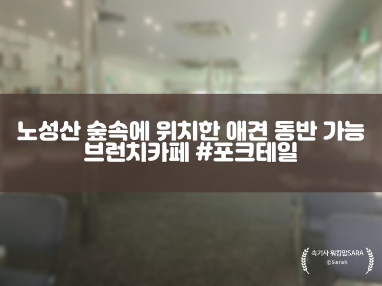 포크테일 이미지