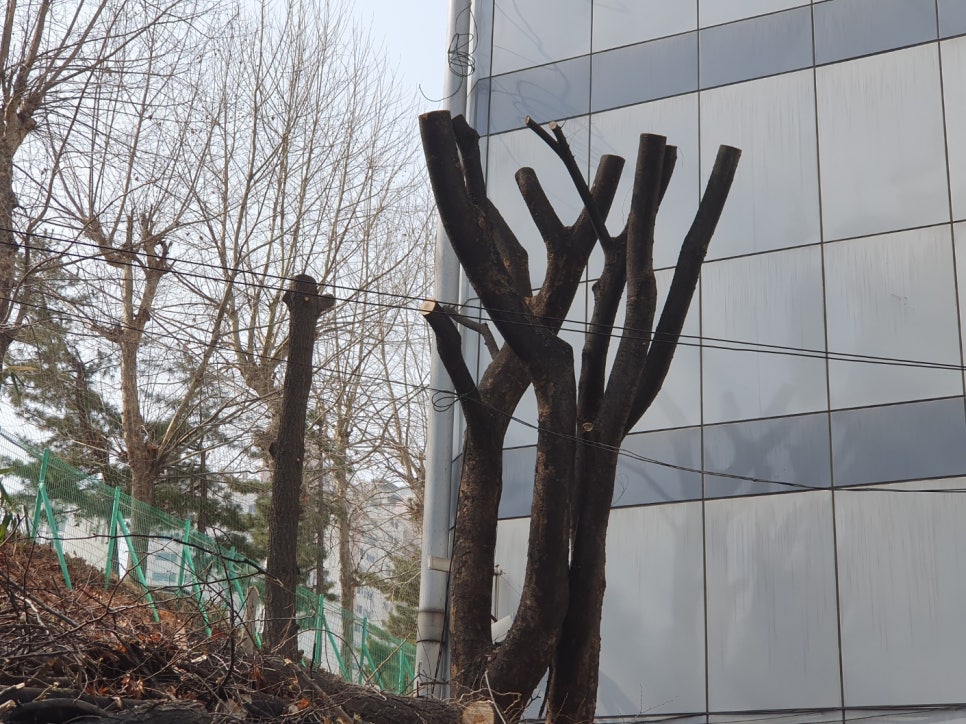 세진자동차서비스 이미지