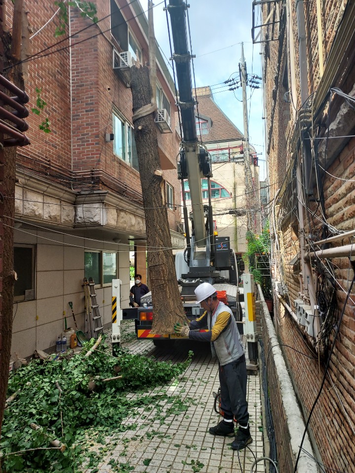 세진종합관리 이미지