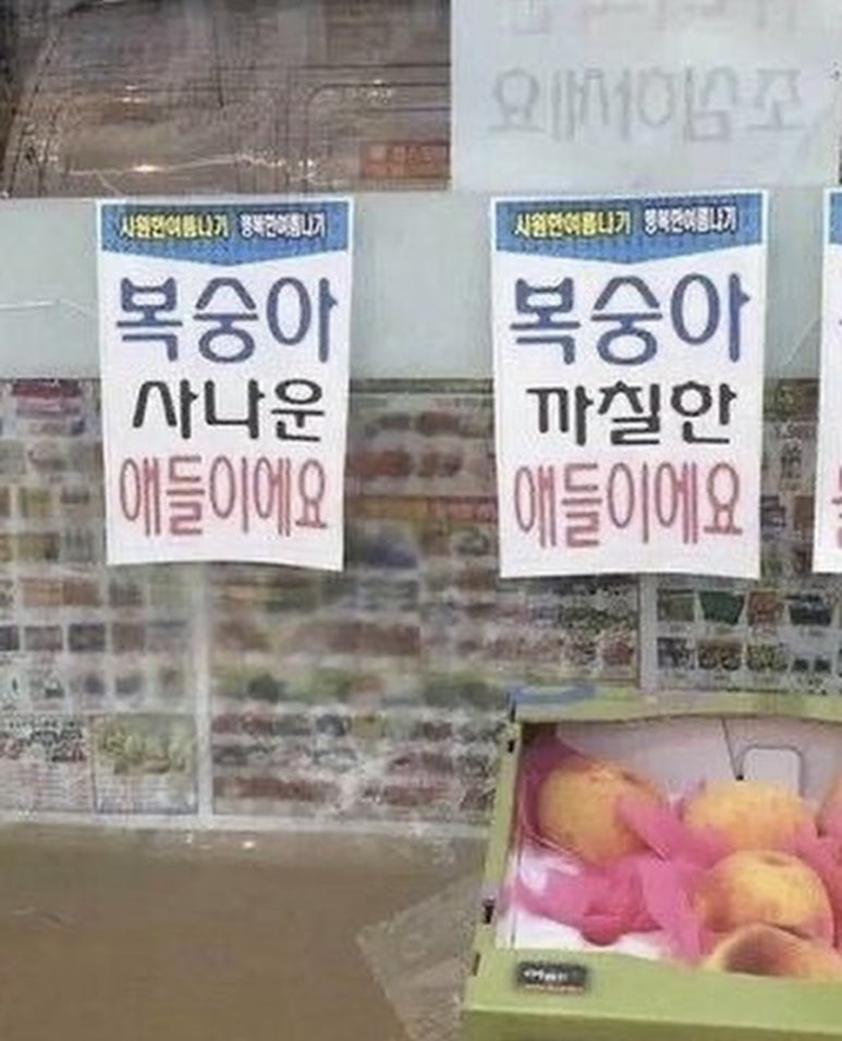 룩앳더패스트 이미지