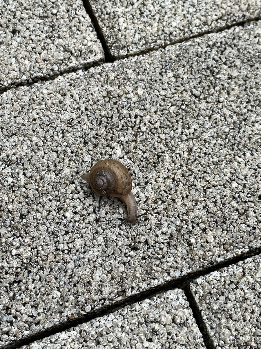 코코마트(주) 이미지