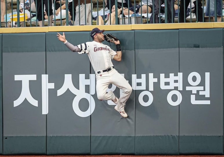 단단이네 이미지