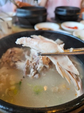 닭올닭 이미지