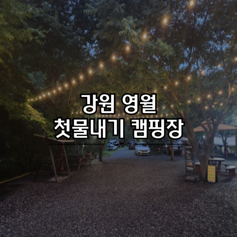첫물내기캠핑장 이미지