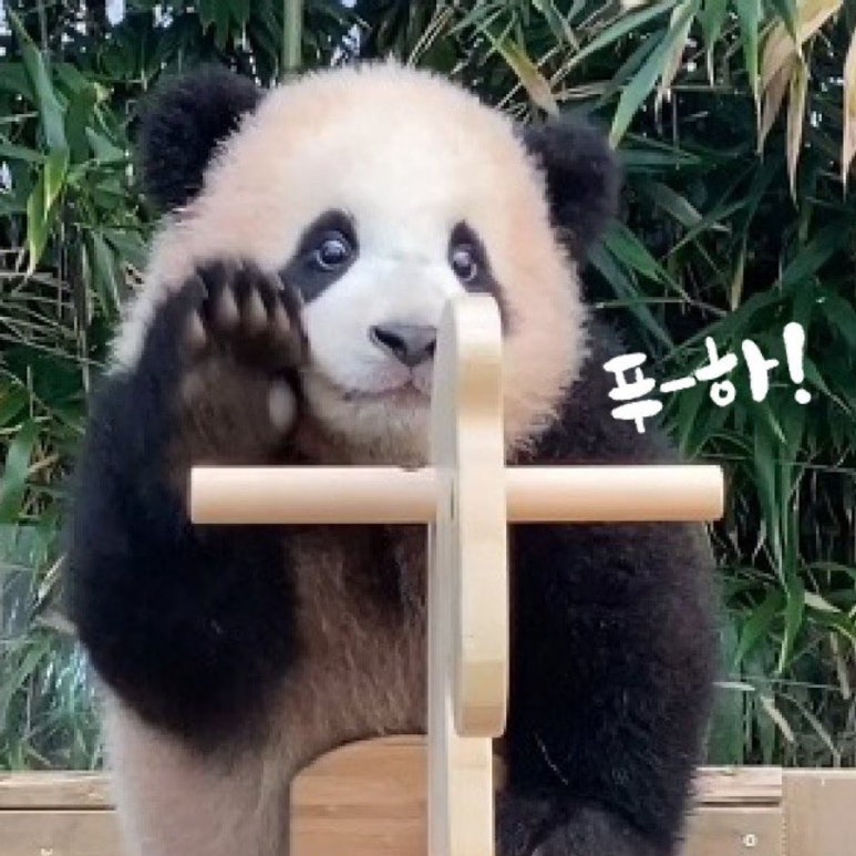 데굴데굴 이미지