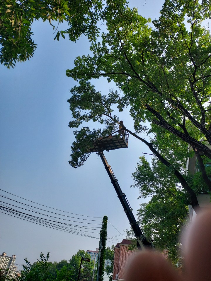 세진종합관리 이미지