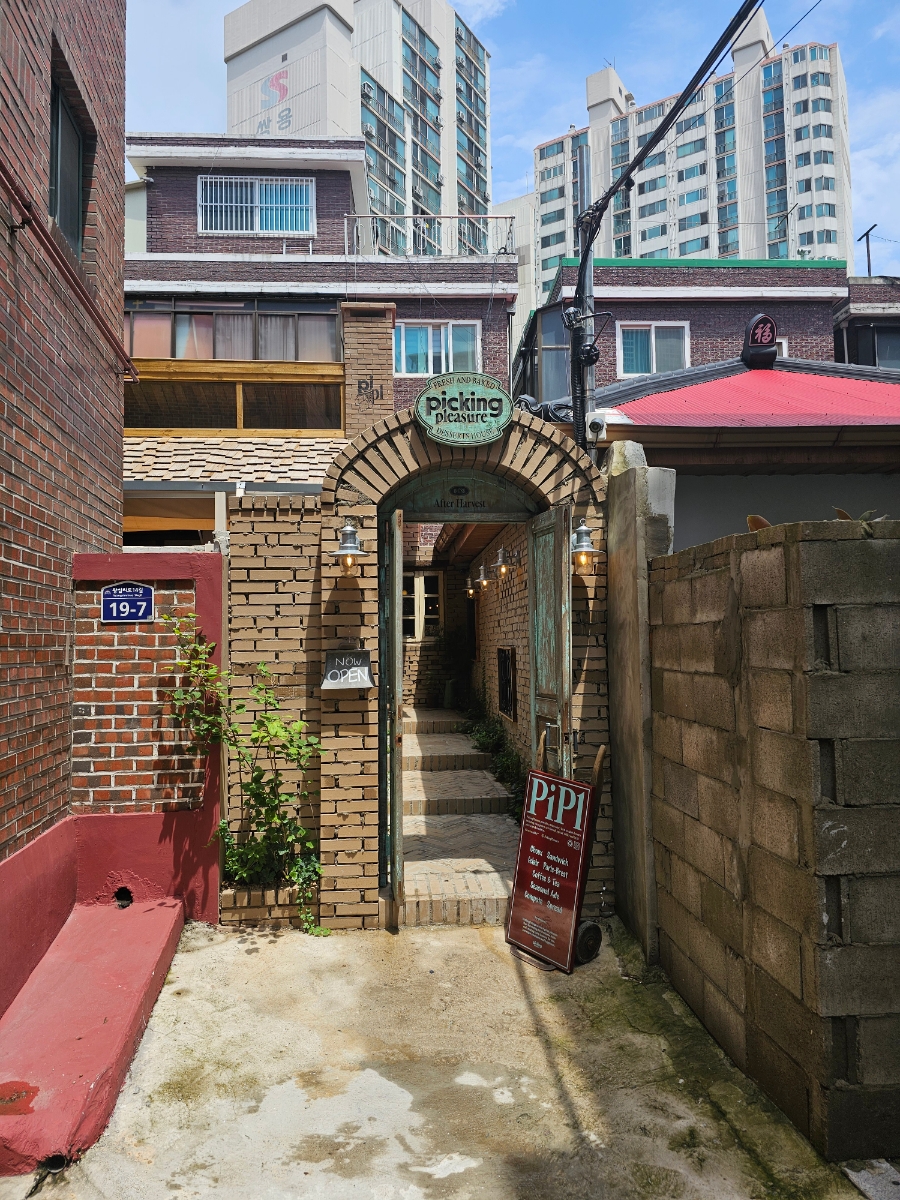 플레져빈 이미지