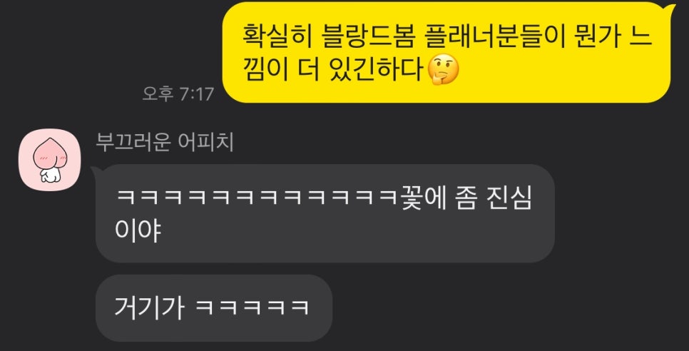 블랑드유 이미지