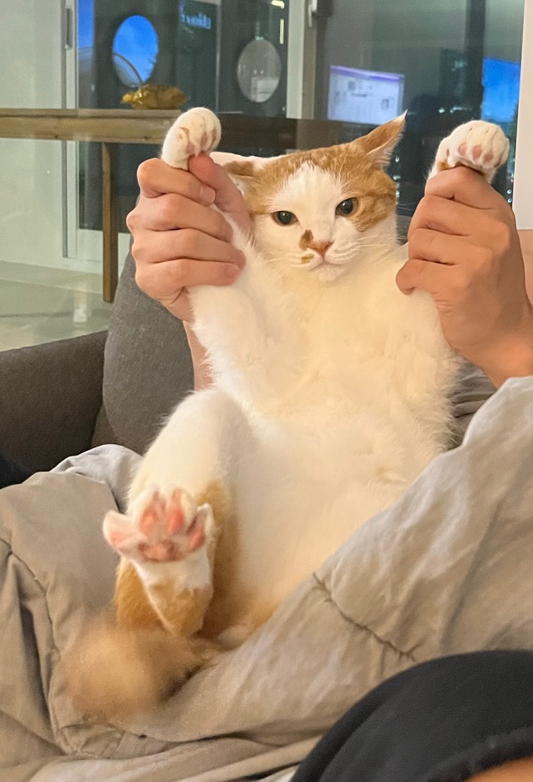 토인헤어 이미지