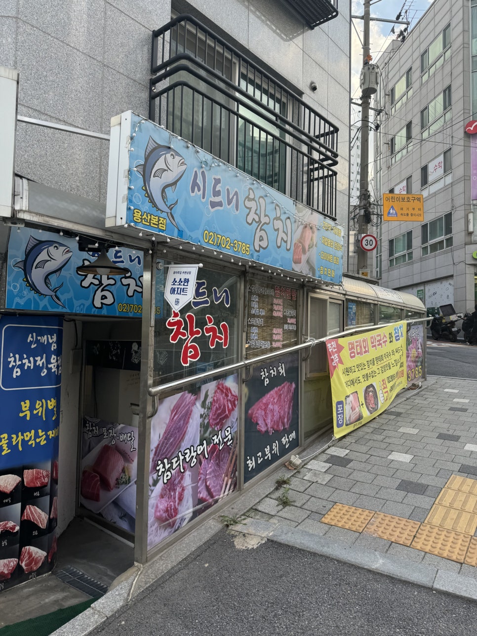 시드니참치 이미지
