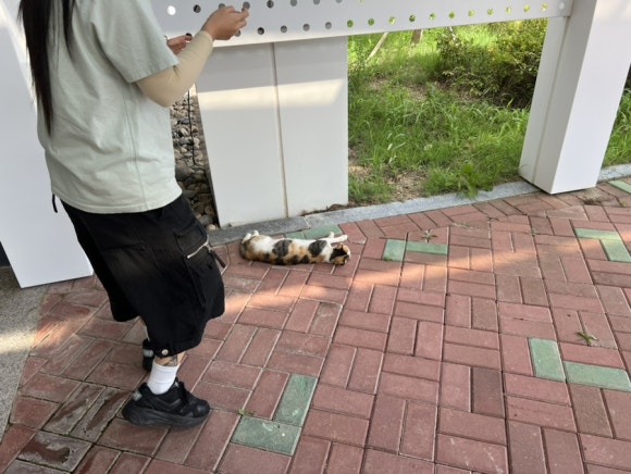 배동균 이미지
