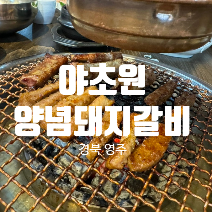 야초원 이미지