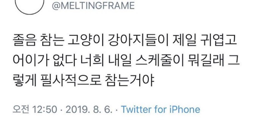 데이투 이미지