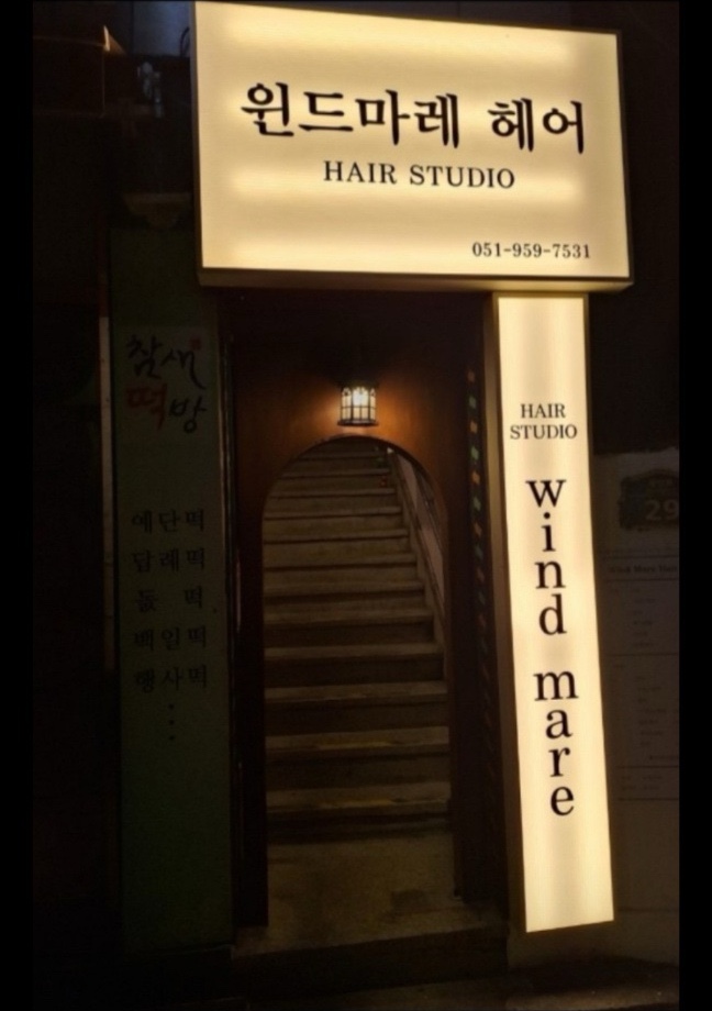 마레헤어 이미지