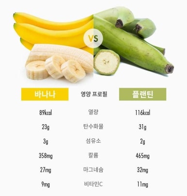 초석농장 이미지