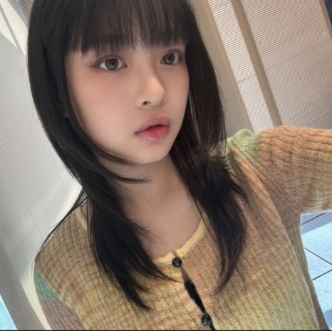 엘바노헤어 이미지