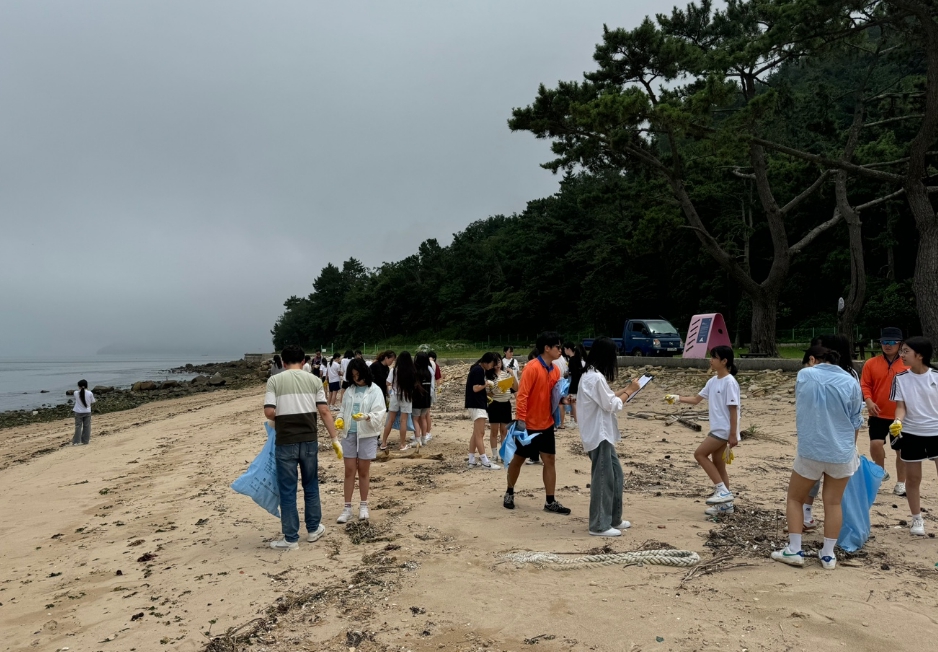 통영바다 이미지