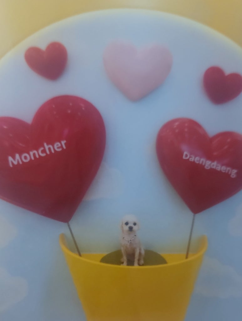 몽쉘댕댕 이미지