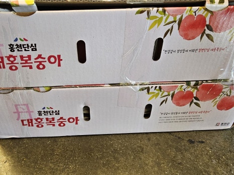 더드림농원 이미지