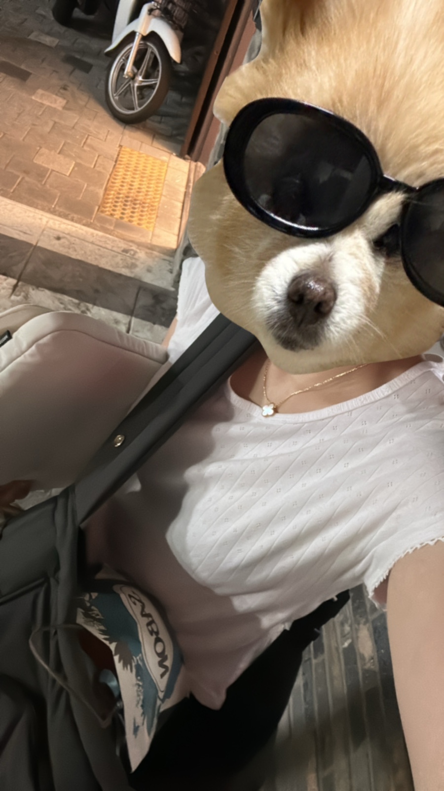 유앤댕 이미지