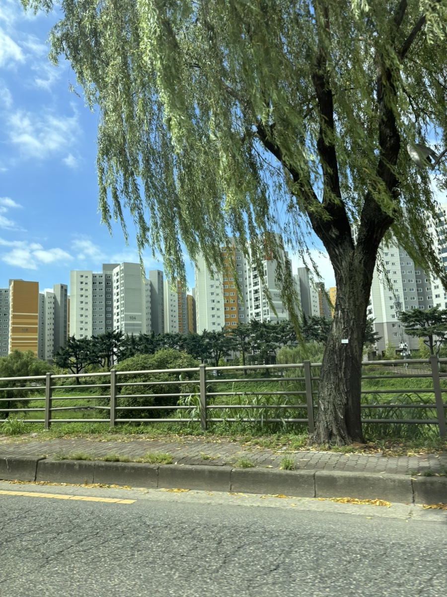 태훈카 이미지