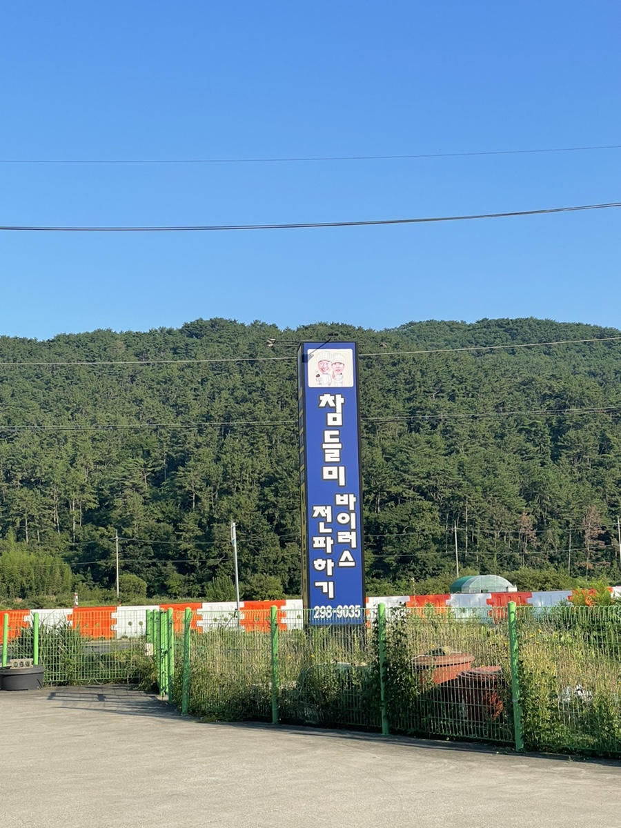 참들미 이미지