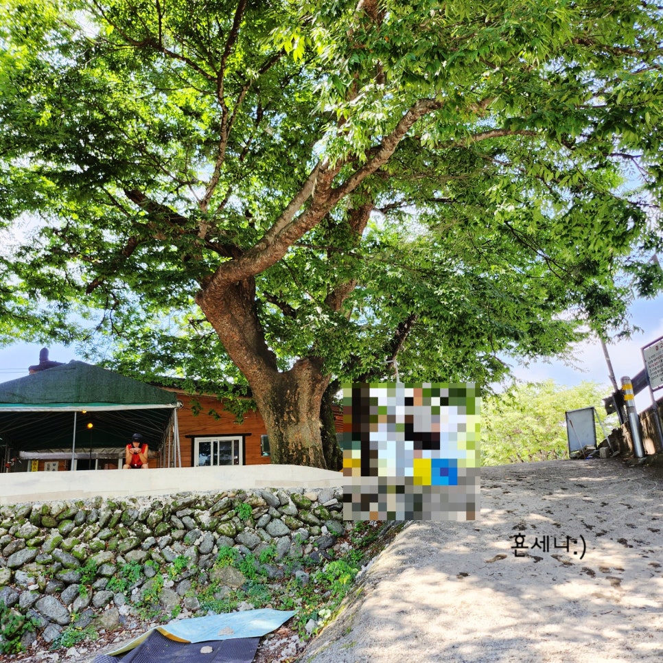 단장숲 바베큐 이미지