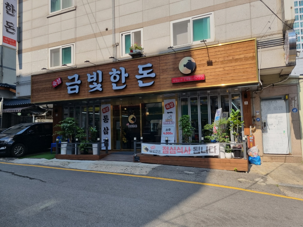 금빛한돈 이미지