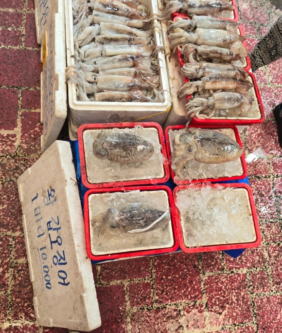 알찬농산 이미지