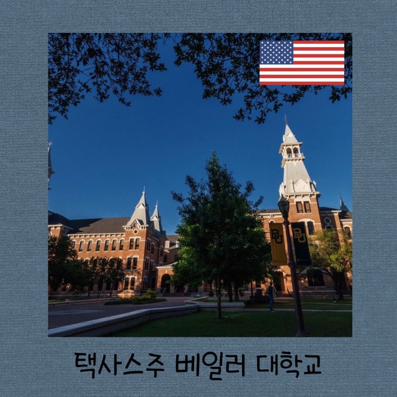 베일러(주) 이미지