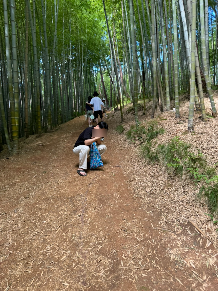 대성막창 이미지