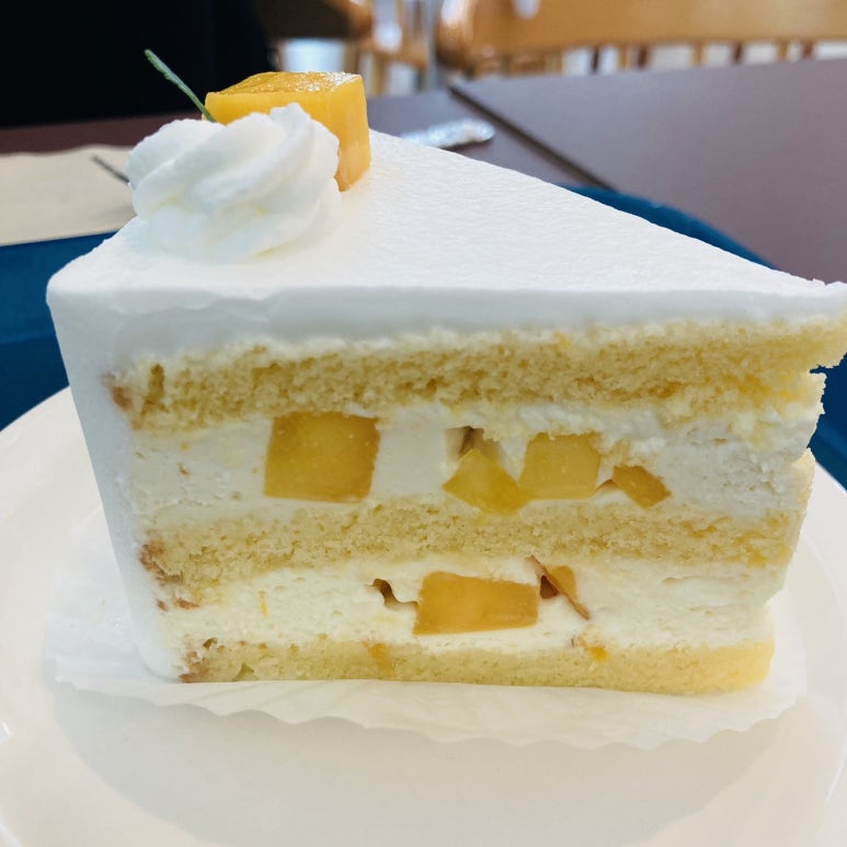 카페바우 이미지